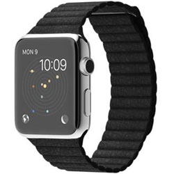 Apple Watch 42mm ステンレススチールケース ブラックレザーループ - L MJYP2J/A