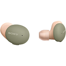 SONY(ソニー) フルワイヤレスイヤホン  アッシュグリーン WF-H800 GM ［リモコン・マイク対応 /ワイヤレス(左右分離) /Bluetooth］ 【sof001】