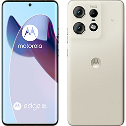 新品未開封　モリーズプロ 　MPDSクリーム 30g モリーズ プロ MPDSクリーム 30g-エステ化粧品の卸/仕入れなら