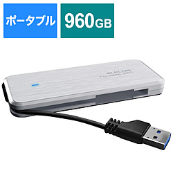 ESD-EC0960GWHR OtSSD USB-Aڑ P[u[^ zCg m960GB /|[^u^n