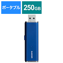 ESD-EMN0250GBU 外付けSSD USB-A接続 PS4対応 ブルー ［ポータブル型 /250GB］