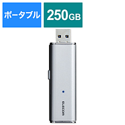 ESD-EMN0250GSV 外付けSSD USB-A接続 PS4対応 シルバー ［ポータブル型 /250GB］