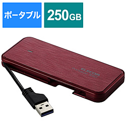 ESD-ECA0250GRDR 外付けSSD USB-A接続 PS5/PS4、録画対応(Chrome/iPadOS/iOS/Mac/Windows11対応) レッド ［250GB /ポータブル型］