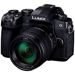 Panasonic(パナソニック) LUMIX G99D ミラーレス一眼カメラ 標準ズームレンズキット  ブラック DC-G99DH-K ［ズームレンズ］