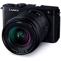 Panasonic(松下（Panasonic）)LUMIX S9标准变焦距镜头配套元件微单喷气黑色DC-S9K-K[变焦距镜头]