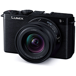 LUMIX S9 広角ズームレンズキット ミラーレス一眼カメラ  ジェットブラック DC-S9N-K ［ズームレンズ］