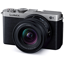 LUMIX S9 広角ズームレンズキット ミラーレス一眼カメラ  ダークシルバー DC-S9N-S ［ズームレンズ］