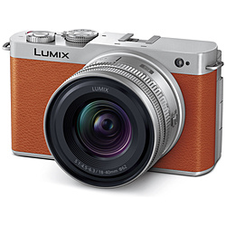 LUMIX S9 広角ズームレンズキット ミラーレス一眼カメラ  キャメルオレンジ DC-S9N-D ［ズームレンズ］