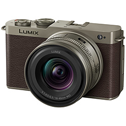 Panasonic(pi\jbN) LUMIX S9 LpY[YLbg ~[XJ  `^S[h DC-S9N-N mY[Yn
