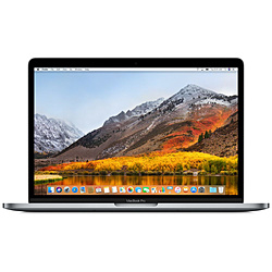 MacBookPro 13インチ Touch Bar搭載 カスタマイズモデル[2018年/SSD 1TB/メモリ 16GB/2.7GHzクアッドコア Core i5]スペースグレイ MR9T2J/A    ［Mac OS /intel Core i7 /メモリ：16GB /SSD：1TB /無し /2018年］