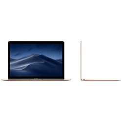 MacBook Retina 12-inch 2017 Core m3-1.2GHz 8GB 256GB MRQN2J/A Book10.1 GD
