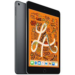 iPad mini 第5世代 256GB スペースグレイ MUU32J／A Wi-Fi