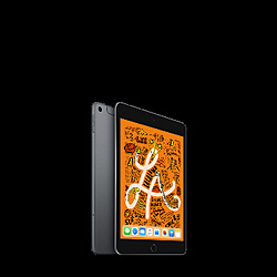 iPad mini 第5世代 256GB スペースグレイ MUXC2J／A SoftBank