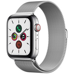 Apple Watch Series 5（GPS + Cellularモデル）- 44mm ステンレススチールケースとミラネーゼループ シルバー   MWWG2J/A