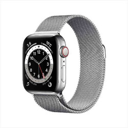 Apple Watch Series 6（GPS + Cellularモデル）- 40mmシルバーステンレススチールケースとシルバーミラネーゼループ  シルバーステンレススチール M06U3J/A