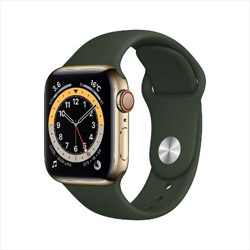 Apple Watch Series 6（GPS + Cellularモデル）- 40mmゴールドステンレススチールケースとキプロスグリーンスポーツバンド - レギュラー  ゴールドステンレススチール M06V3J/A