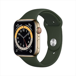Apple Watch Series 6（GPS + Cellularモデル）- 44mmゴールドステンレススチールケースとキプロスグリーンスポーツバンド - レギュラー  ゴールドステンレススチール M09F3J/A