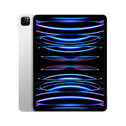 iPad Pro 12.9インチ 第6世代 256GB シルバー MP213J／A docomo