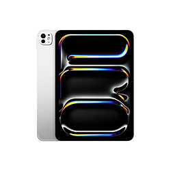 iPad Pro 11 Wi-Fi + Cellular 1TB (標準) シルバー  シルバー MVW63J/A ［1TB］