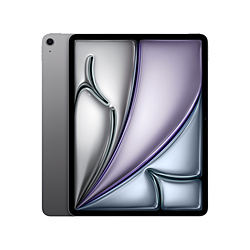 Apple(苹果)13英寸iPad Air Wi-Fi型号256GB-空间灰色MV2D3J/A