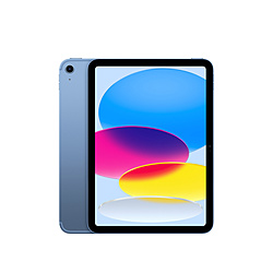 iPad (A16) 512GB MD7Q4J/A ブルー docomo