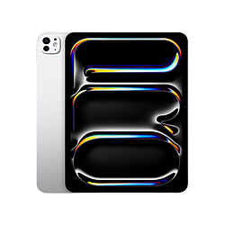Apple(Abv) iPad Pro M5`bv 13C`(WKX) Wi-Fif Xg[WF256GB MDYK4J/A Vo[ ȍ~̂͂