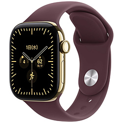 Apple(�A�b�v��) Apple Watch Series 12�iGPS + Cellular���f���j- 42mm���f�B�A���g�S�[���h�`�^�j�E���P�[�X�ƃo�[�K���f�B�X�|�[�c�o���h - S/M  ���f�B�A���g�S�[���h�`�^�j�E�� MJGJ4X/A