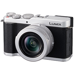 Panasonic(�p�i�\�j�b�N) LUMIX L10 �R���p�N�g�f�W�^���J����  �V���o�[ DC-L10-S �������ȍ~���׎���̂��͂�