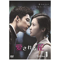  DVD-BOX1