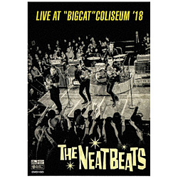 NEATBEATS / LIVE AT gBIGCAT COLISEUM 18 yDVDz