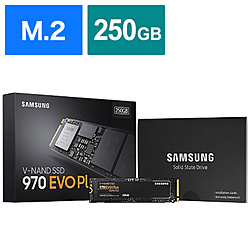 SSD 970 EVO Plus MZ-V7S250B/IT (SSD/M.2 2280/250GB)