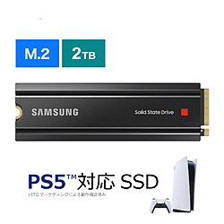 内蔵SSD PCI-Express接続 980 PRO(ヒートシンク付 /PS5対応)  MZ-V8P2T0C/IT ［2TB /M.2］