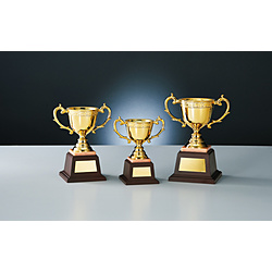 優勝カップ 匠の技 樹脂成型カップ Ａ(高さ225×口径95mm/ゴールド) NO-3771 文字彫刻不可