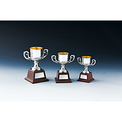 優勝カップ Ｃ(高さ18.7cm×口径7.5cm/シルバー) NO-3775 文字彫刻不可