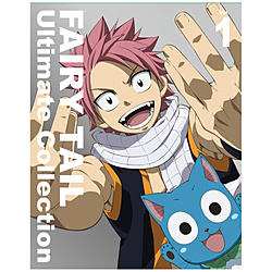 FAIRY TAIL -Ultimate collection- Vol.1 BD