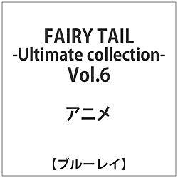 FAIRY TAIL -Ultimate collection- Vol.6 BD