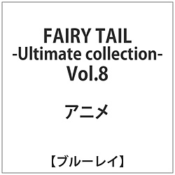 FAIRY TAIL -Ultimate collection- Vol.8 BD