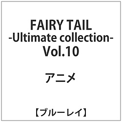 FAIRY TAIL -Ultimate collection- Vol.10 BD