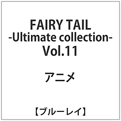 FAIRY TAIL -Ultimate collection- Vol.11 BD