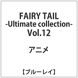 FAIRY TAIL -Ultimate collection- Vol.12 BD