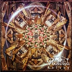 Roselia / 1stAouAnfangv ʏ CD