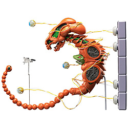 yĔ́zfigma R-TYPE huPhvX