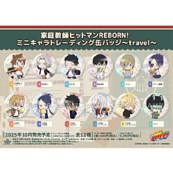【BOX販売】 家庭教師ヒットマンREBORN! ミニキャラトレーディング缶バッジ〜travel〜