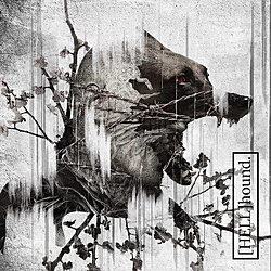 TRNTY D / CODE / (HELL)hound.ʏ CD