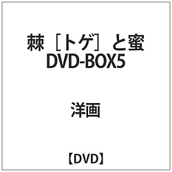 <gQ>Ɩ DVD-BOX5 DVD