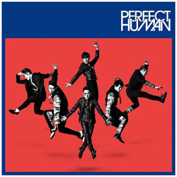 RADIO FISH/PERFECT HUMAN TYPE-A CD y864z