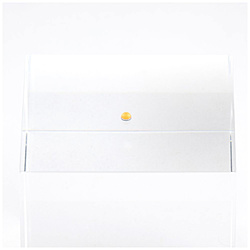 ルミドーム2 蛍光オレンジ（10個入） 2.5mm LMD2-ORA-25