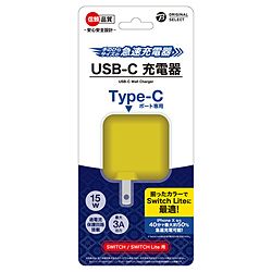 SwitchLite用 USB-C 充電器