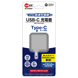 SwitchLitep USB-C [d