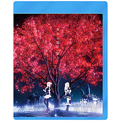 HIMEHINA/ HIMEHINA 2nd Live Blu-ray ủ؁v